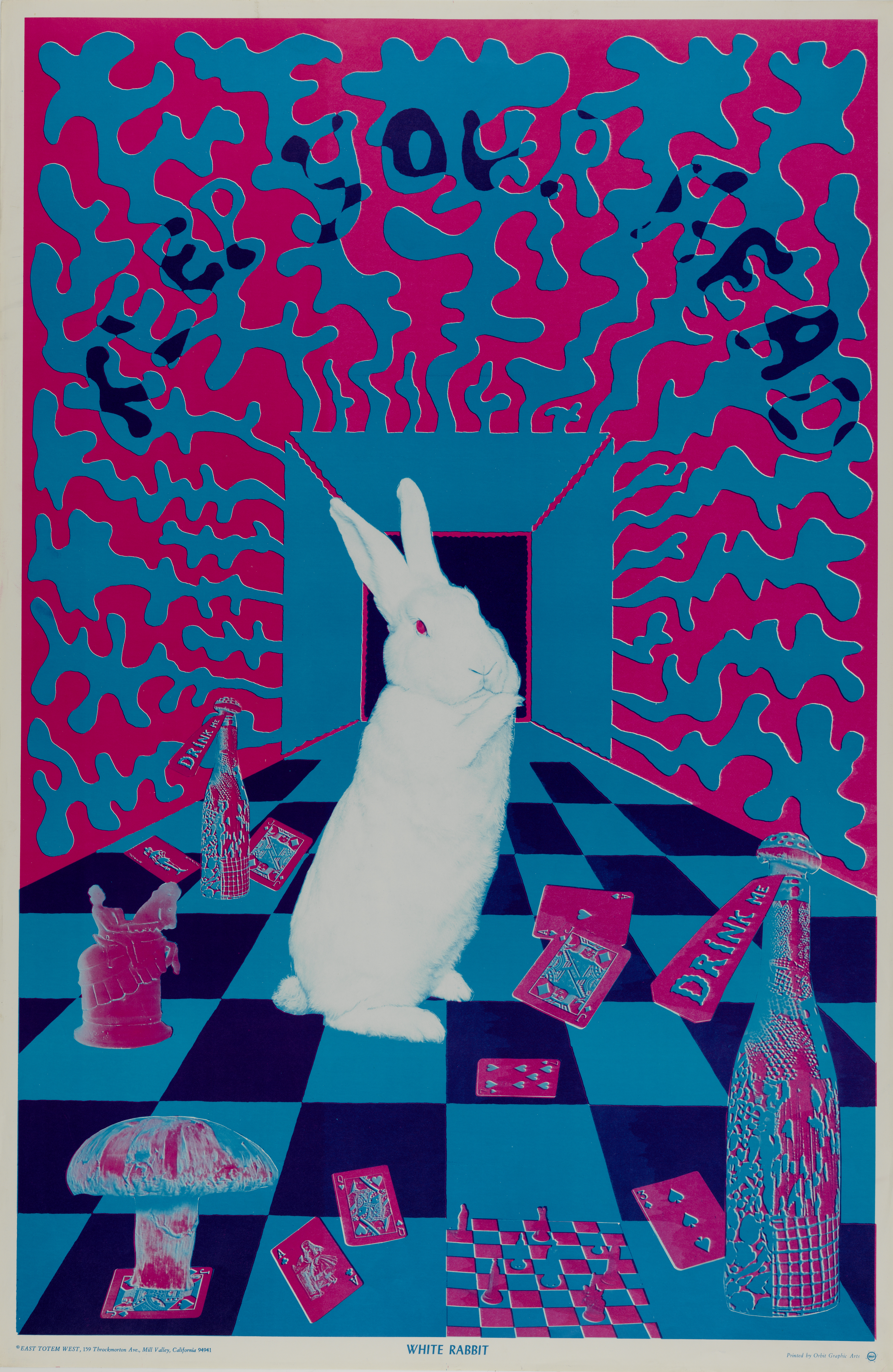 Psychedelics: Art. Culture. Science. | Royal Ontario Museum